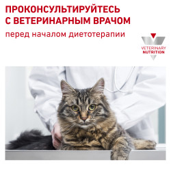 Royal Canin Hypoallergenic DR 25 Felinе, 2.5кг- фото8