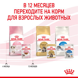 Royal Canin Kitten Gravy кусочки в соусе, 85г х 12шт- фото10