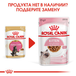 Royal Canin Maine Coon Kitten соус, 85г х 12шт- фото2