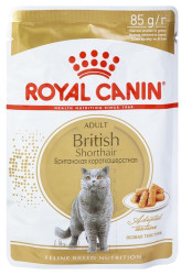 Royal Canin British Shorthair Adult соус, 85г х 12шт