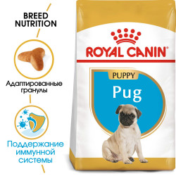 Royal Canin Pug Puppy 1,5кг- фото