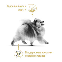 Royal Canin Pomeranian, 85г- фото5
