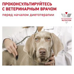 Royal Canin Diabetic DS 37 Canine 1,5кг- фото6